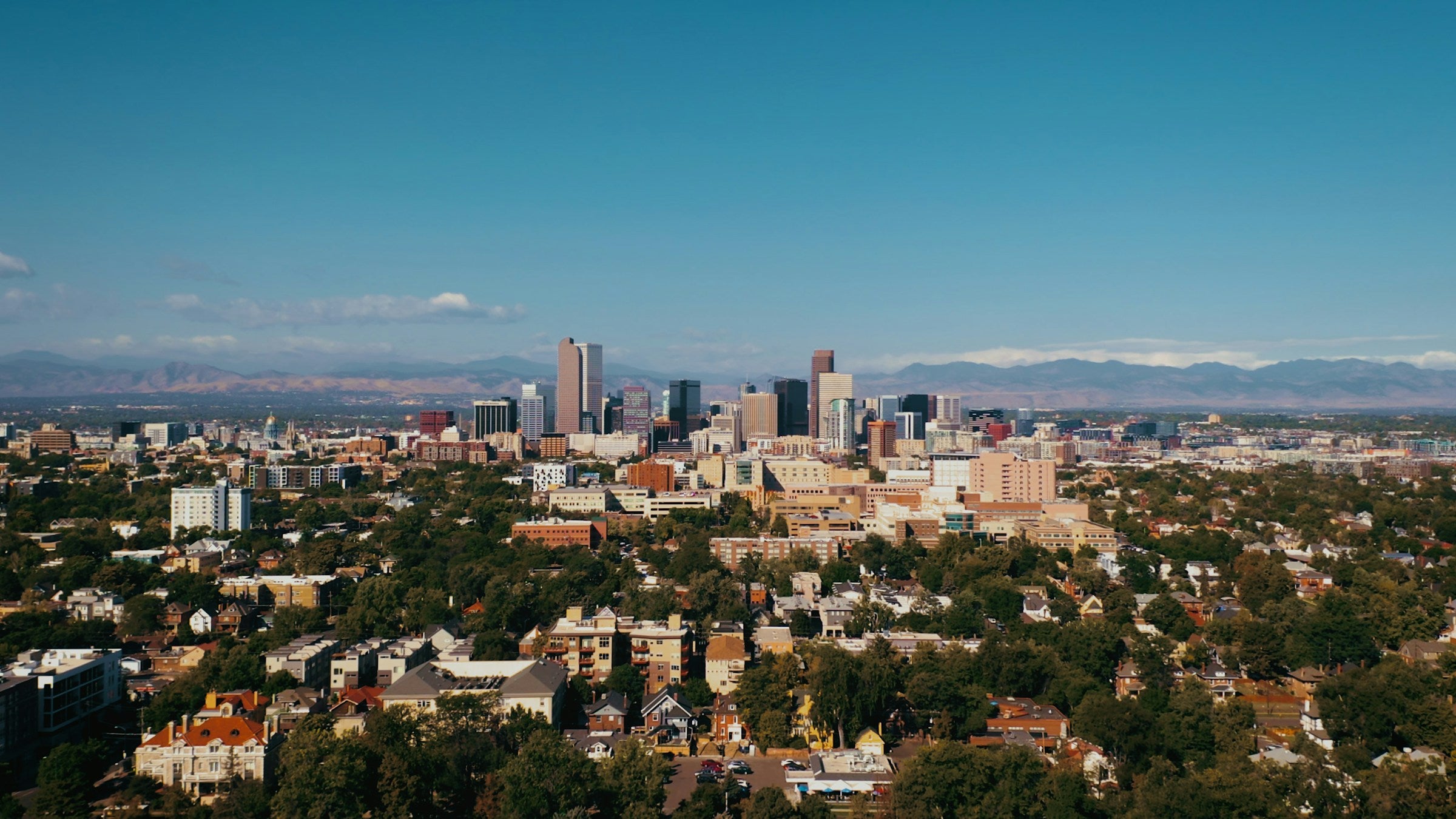 Top yarn stores in Denver, Colorado 2026 – Wild Woollys