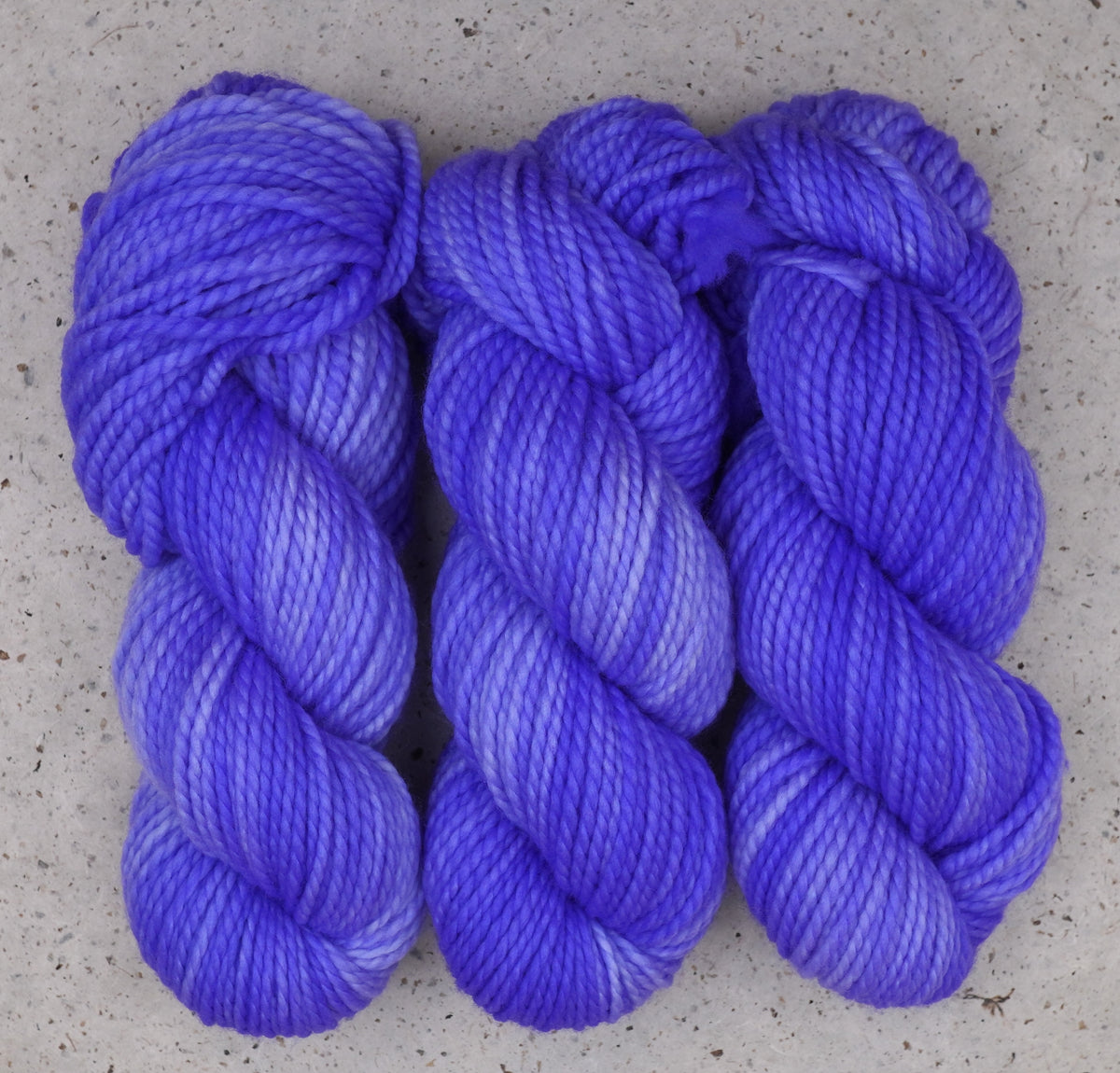 Crocus Pocus