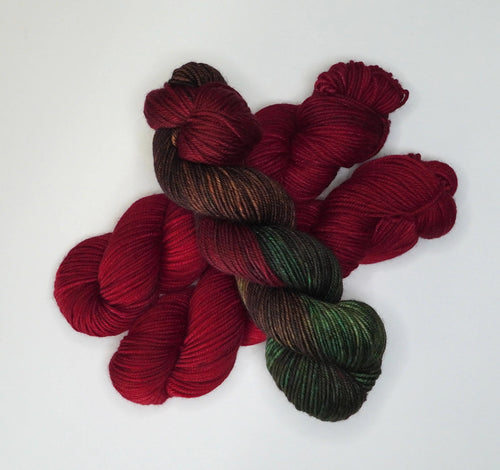 Wild Woollys Divine Wine yarn, a skein of variegated brown and green yarn with three skeins of red yarn