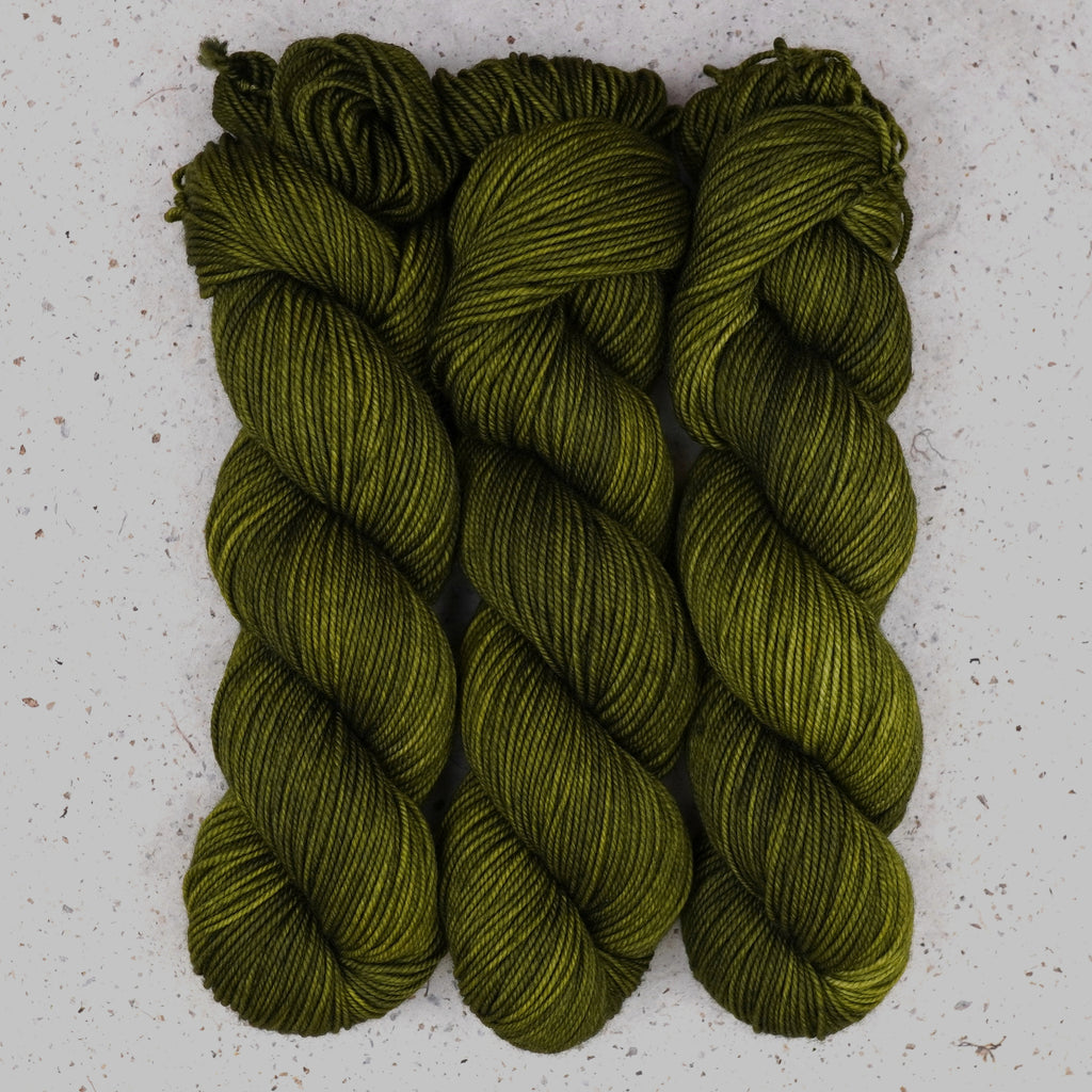 Fiddlehead Fern DK Garn von Wild Woollys — drei Stränge in tiefem Olivgrün