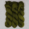 Fiddlehead Fern DK Garn von Wild Woollys — drei Stränge in tiefem Olivgrün