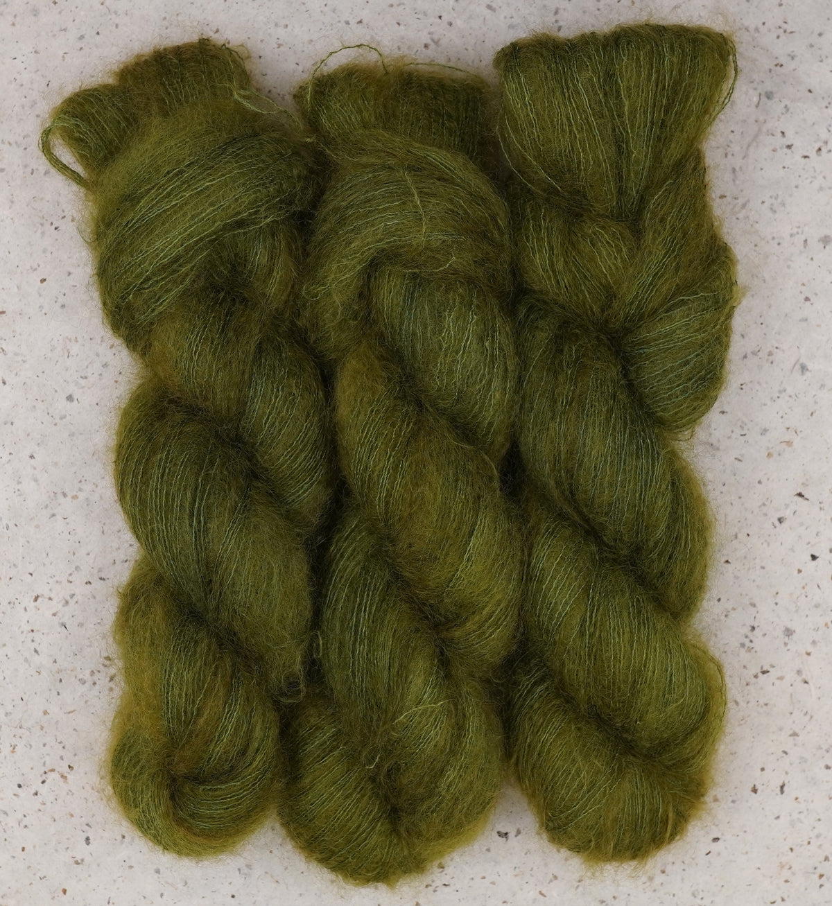 Fiddlehead Fern
