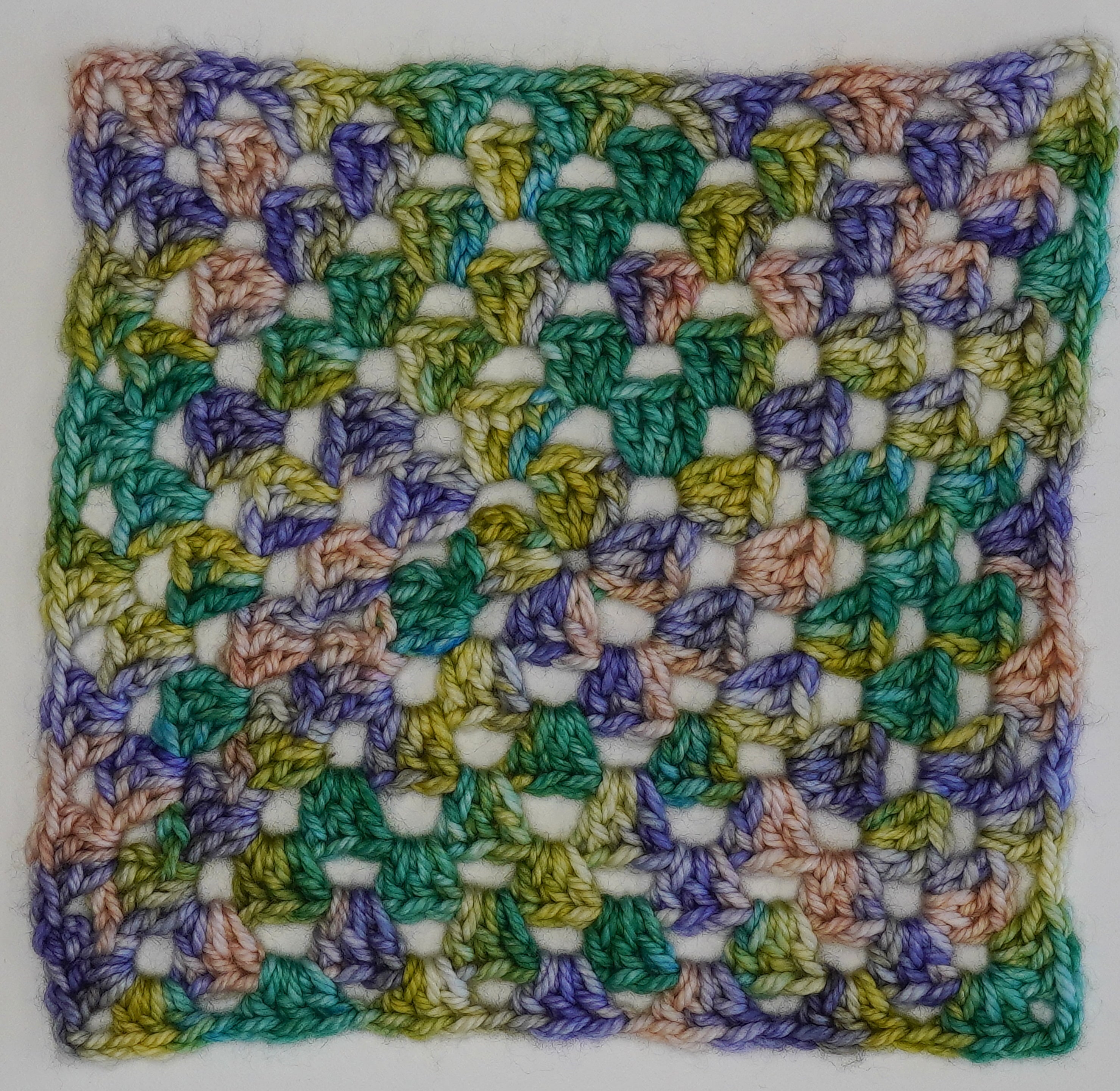 Water Lilies