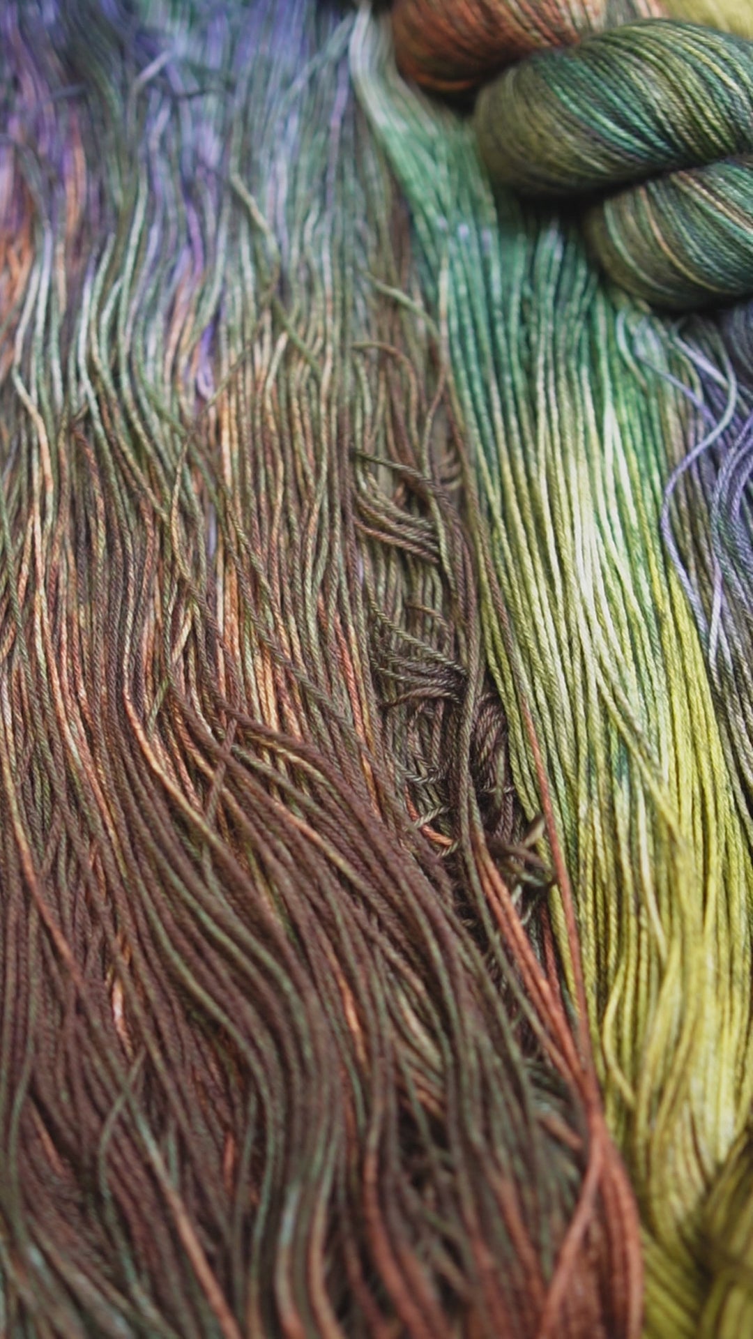 Mycelium Bloom - Fingering Sock Set